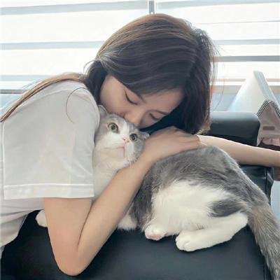 剧场版怪化猫